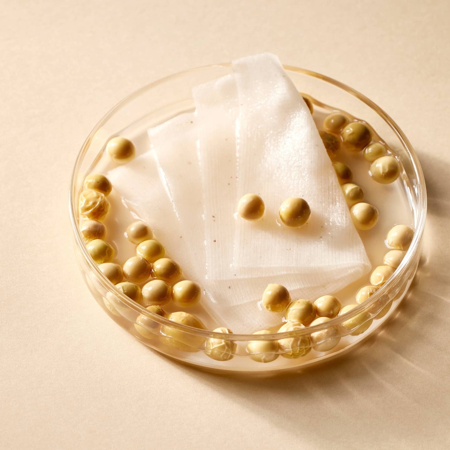 Bean Toner Pad